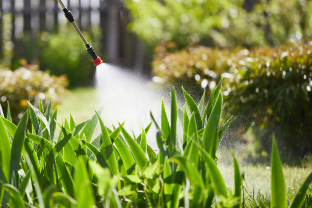 24/7 Emergency Emergency Pest Control experts in St. Francisville, LA