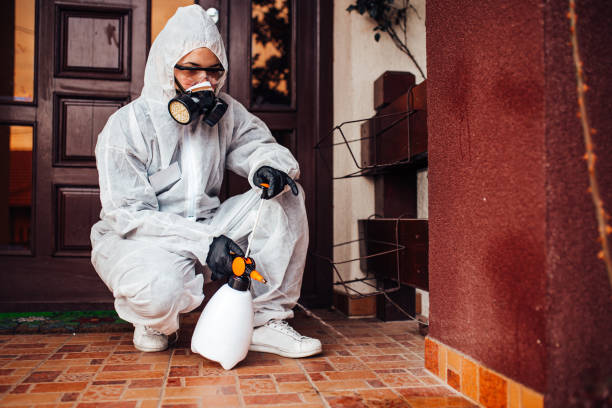 Reliable Emergency Pest Control contractor in St. Francisville, LA by Nex Pest Control