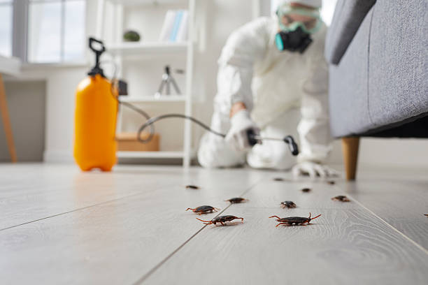 Trusted Cockroach Control service in St. Francisville, LA - Nex Pest Control