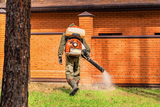 Trusted Emergency Pest Control service in St. Francisville, LA - Nex Pest Control